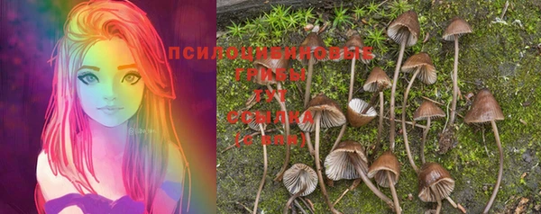 дурь Баксан